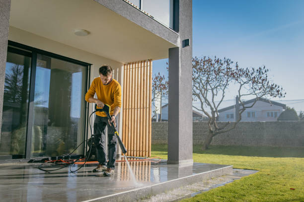 Best House Exterior Washing  in Papillion, NE